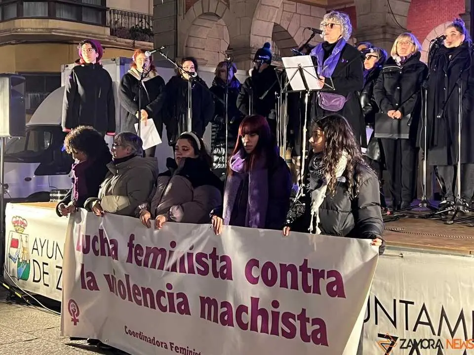 Manifestación 25N Zamora _9