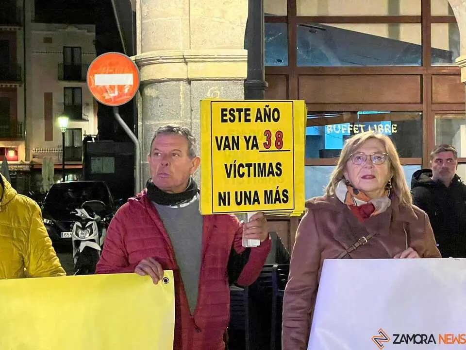 Manifestación 25N Zamora _11