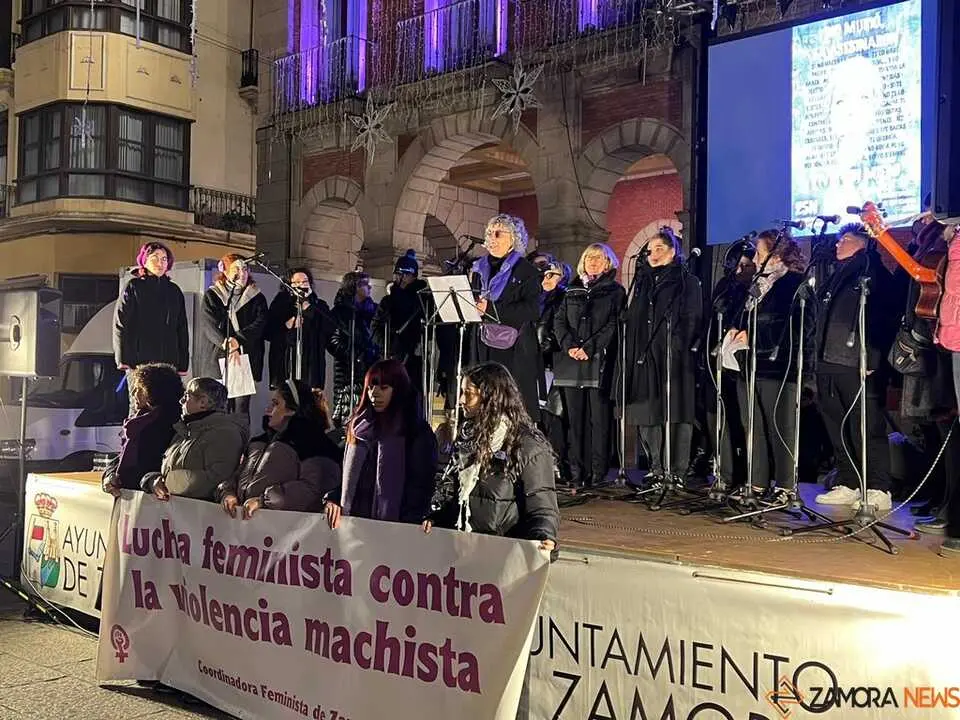 Manifestación 25N Zamora _12