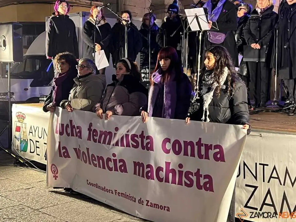 Manifestación 25N Zamora _14