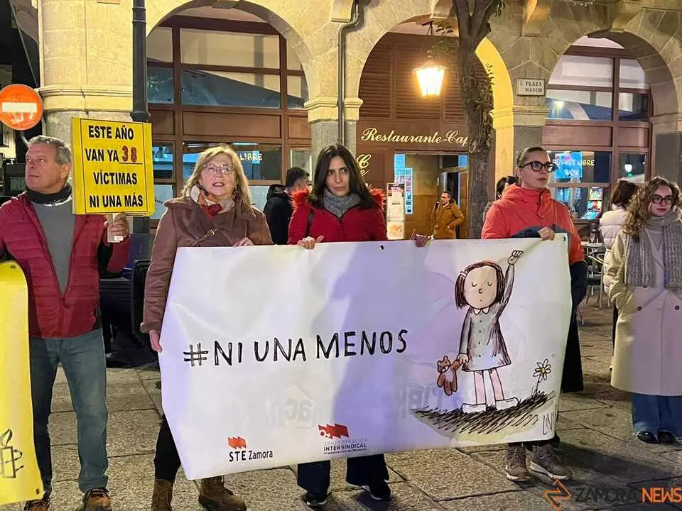 Manifestación 25N Zamora _16