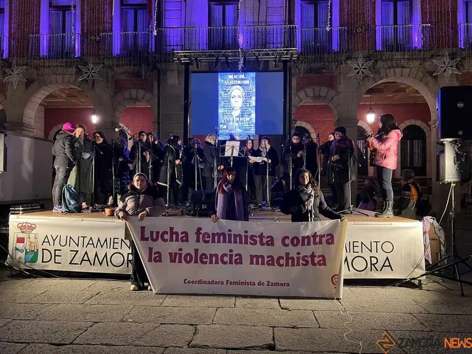 Manifestación 25N Zamora _18