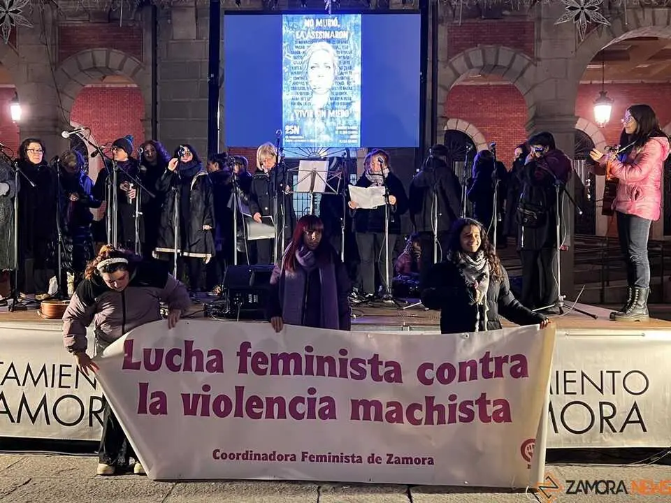 Manifestación 25N Zamora _19