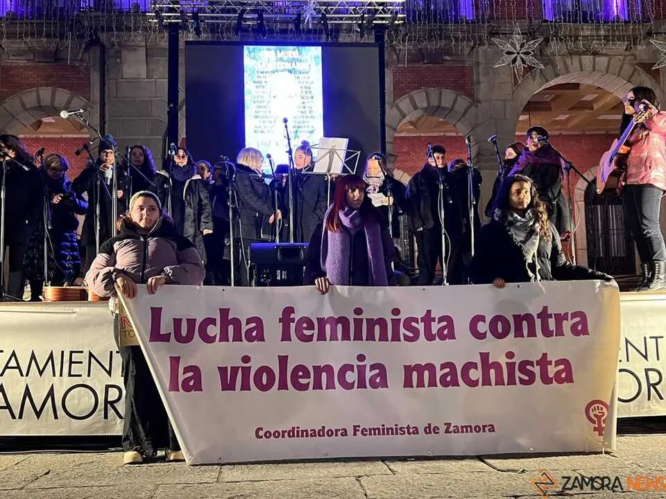 Manifestación 25N Zamora _20