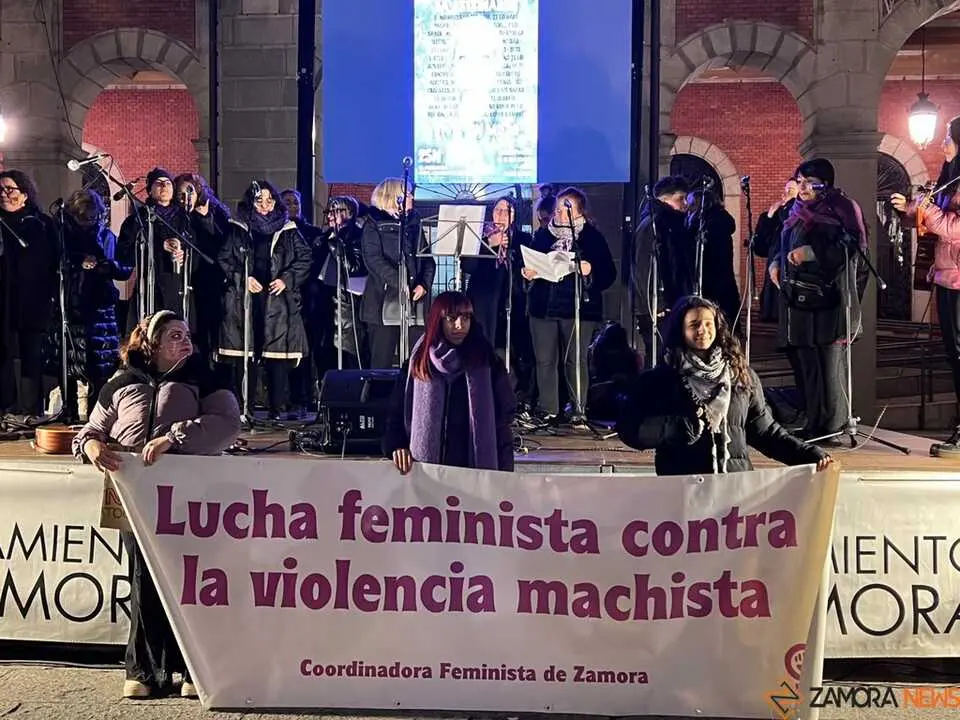 Manifestación 25N Zamora _21