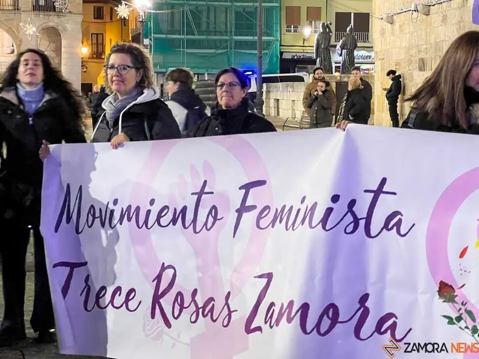 Manifestación 25N Zamora _25