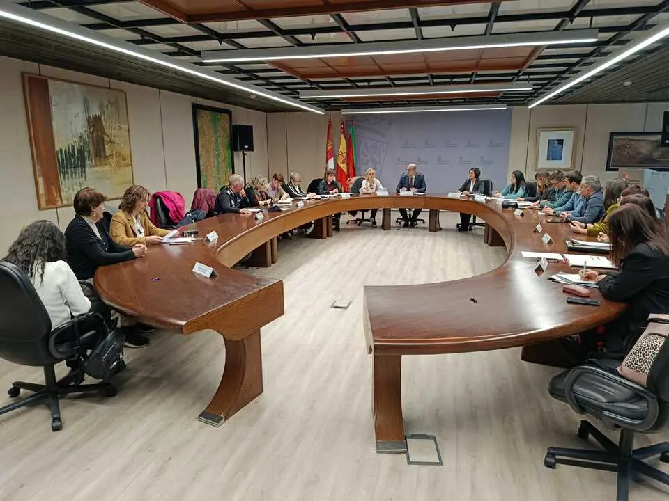 Comisión Territorial Violencia de género Zamora