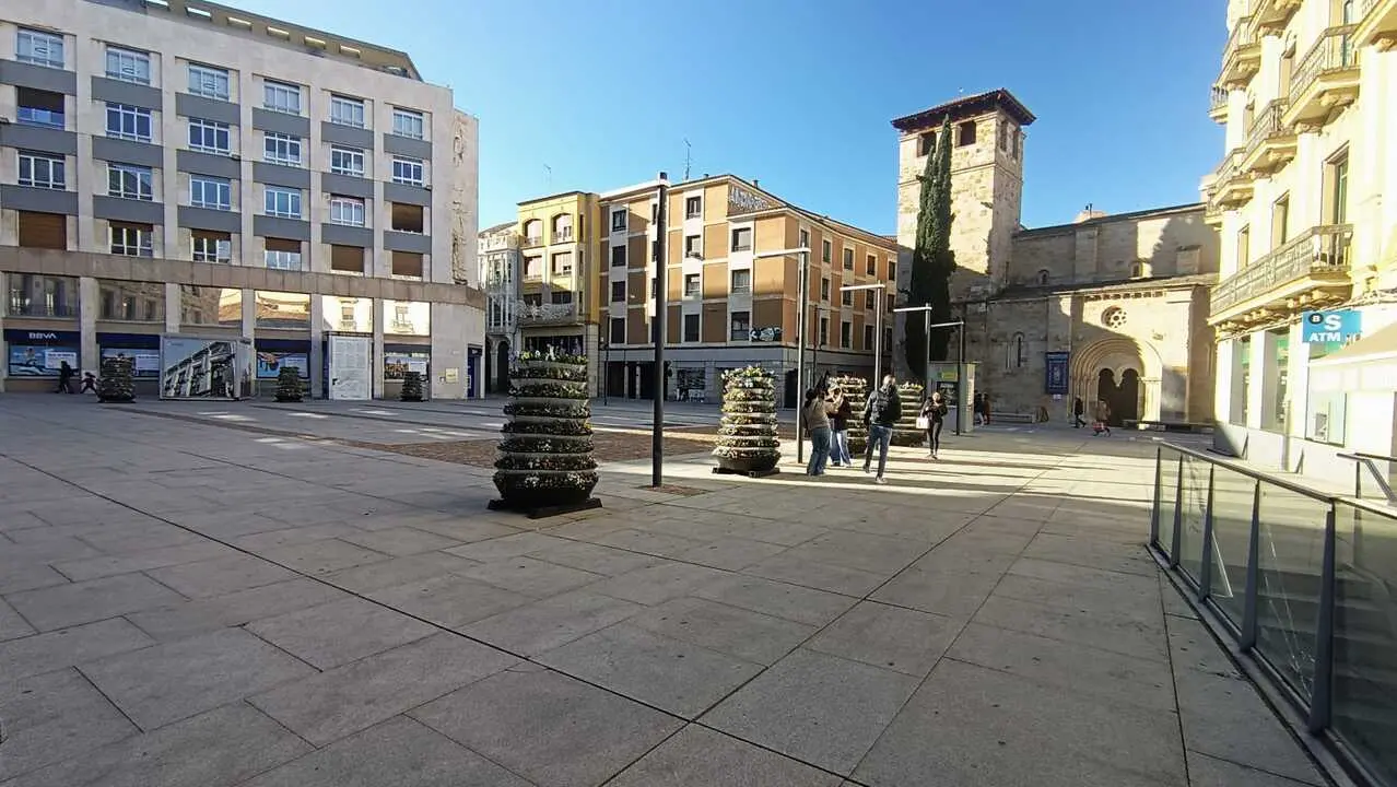 Torres de flores instaladas en la Plaza de la Constitución en Zamora