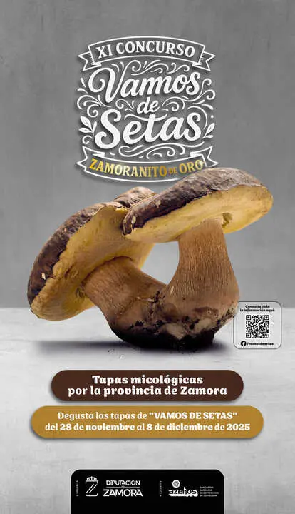 Vamos de Setas 2025 40x70