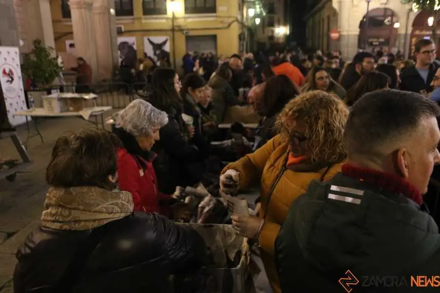 encendido de luces en Zamora_11
