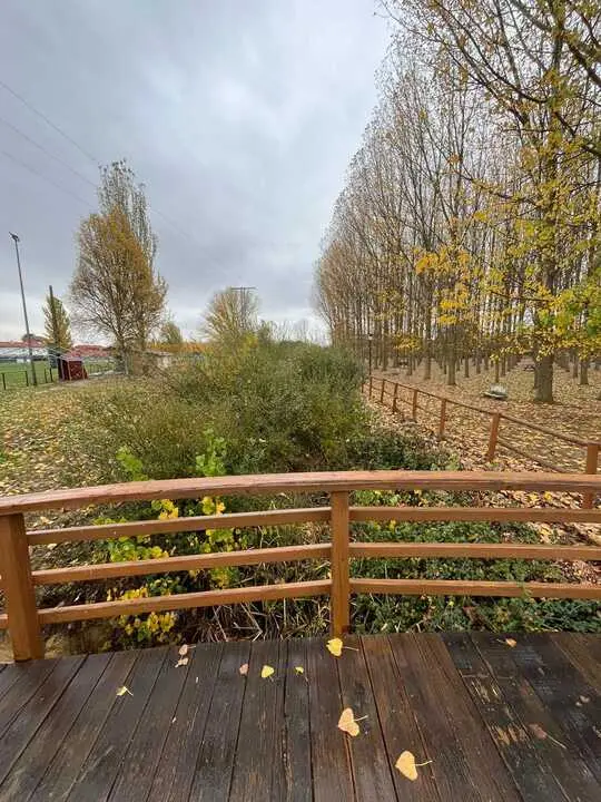 cauce Río en San Pedro de Ceque  (1)