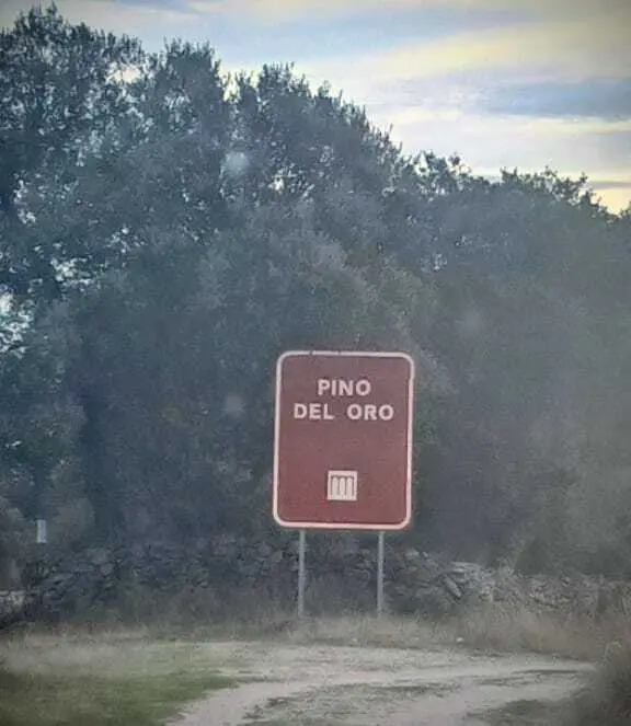 Pino del Oro
