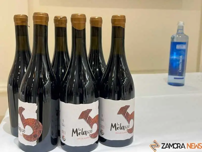 Vinos de la Sierra de la Culebra _14