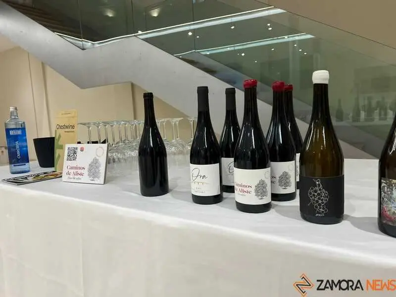 Vinos de la Sierra de la Culebra _21