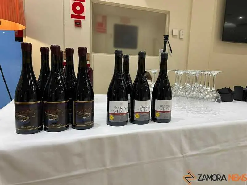 Vinos de la Sierra de la Culebra _24