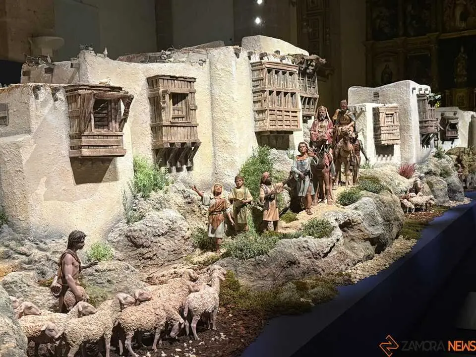 Belén Diputación de Zamora 