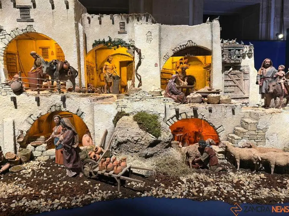 Belén Diputación de Zamora _8