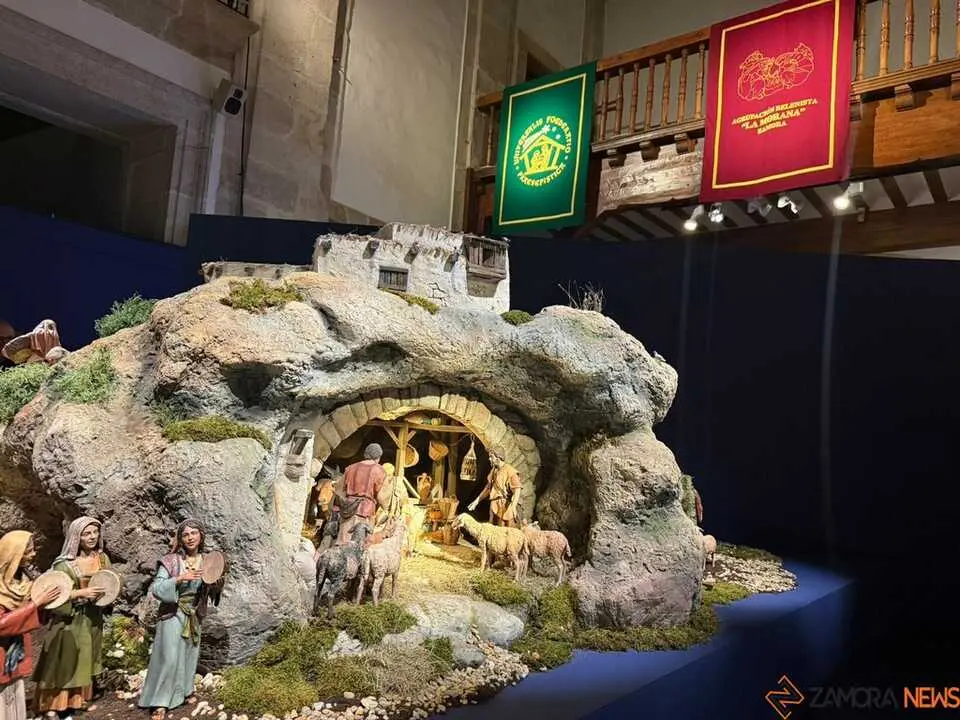 Belén Diputación de Zamora _14