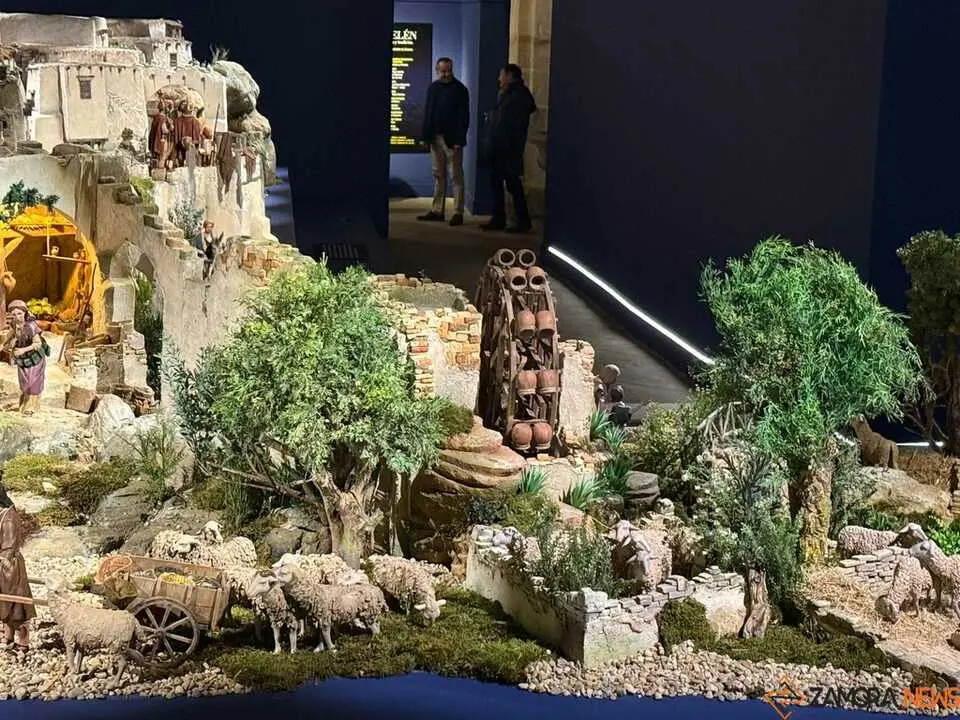 Belén Diputación de Zamora _25