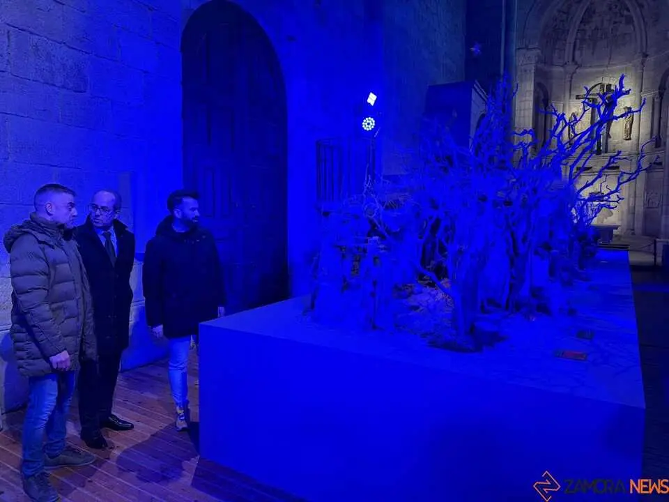 Belén Municipal Zamora _14