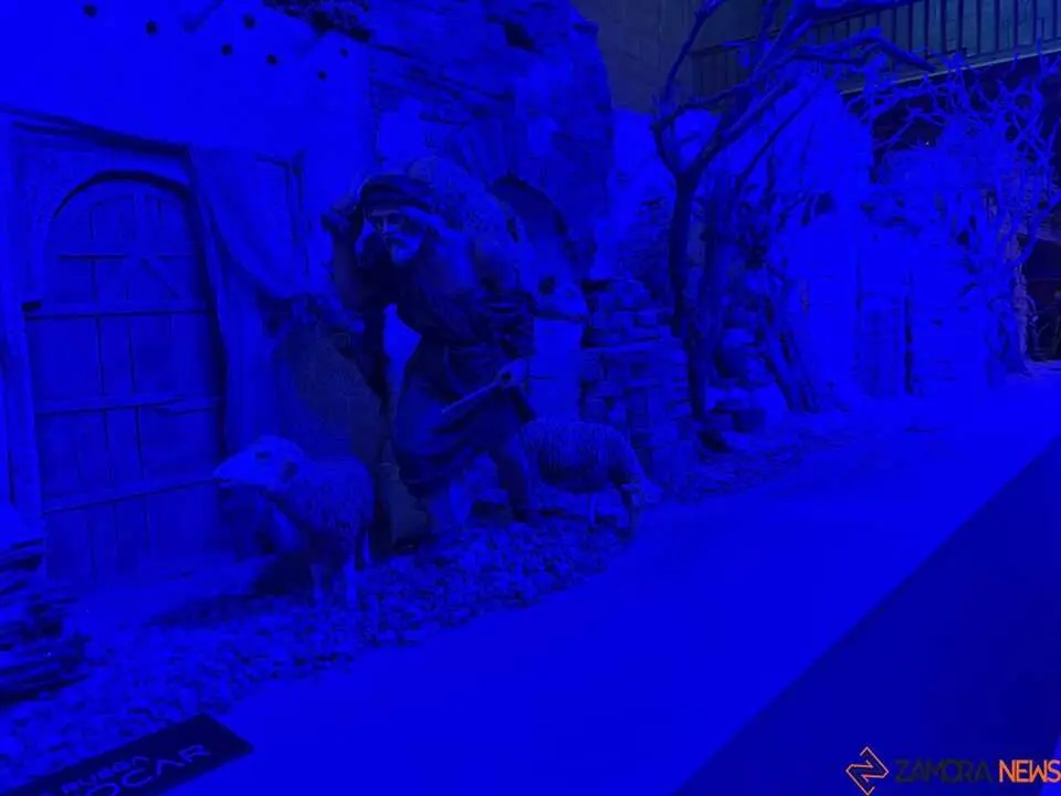 Belén Municipal Zamora _3