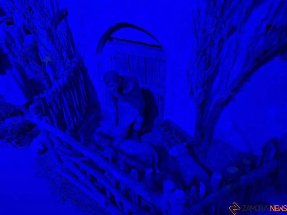 Belén Municipal Zamora _5