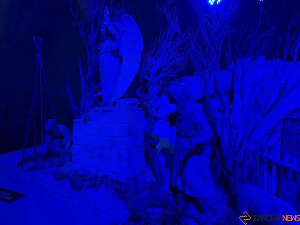 Belén Municipal Zamora _7