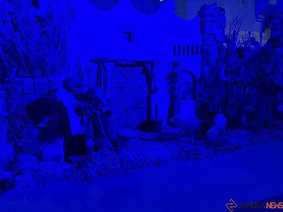 Belén Municipal Zamora _8