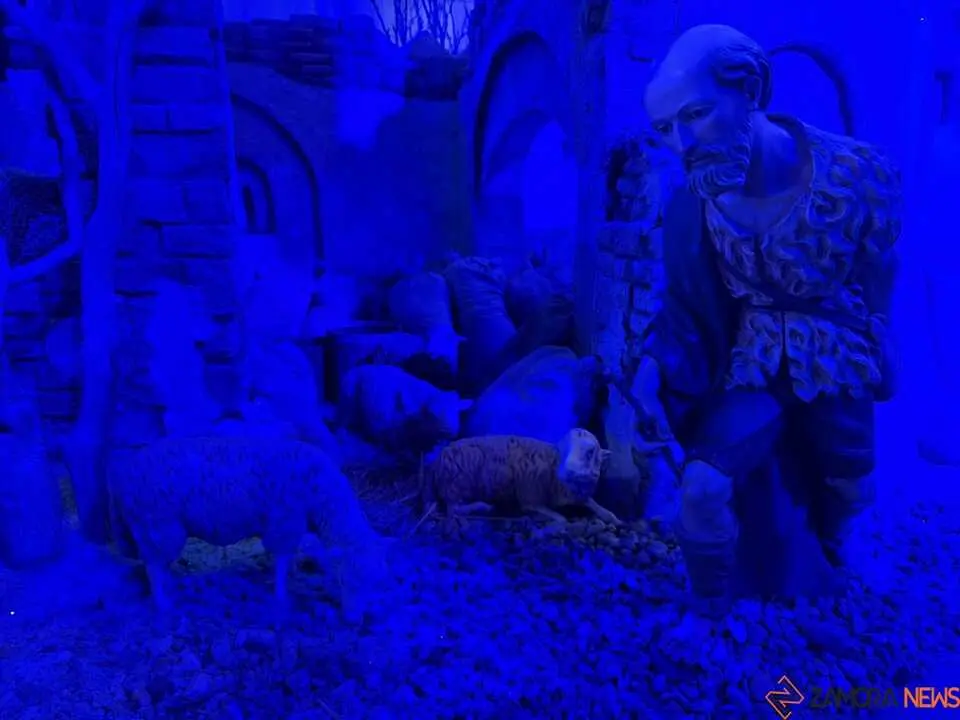 Belén Municipal Zamora _10