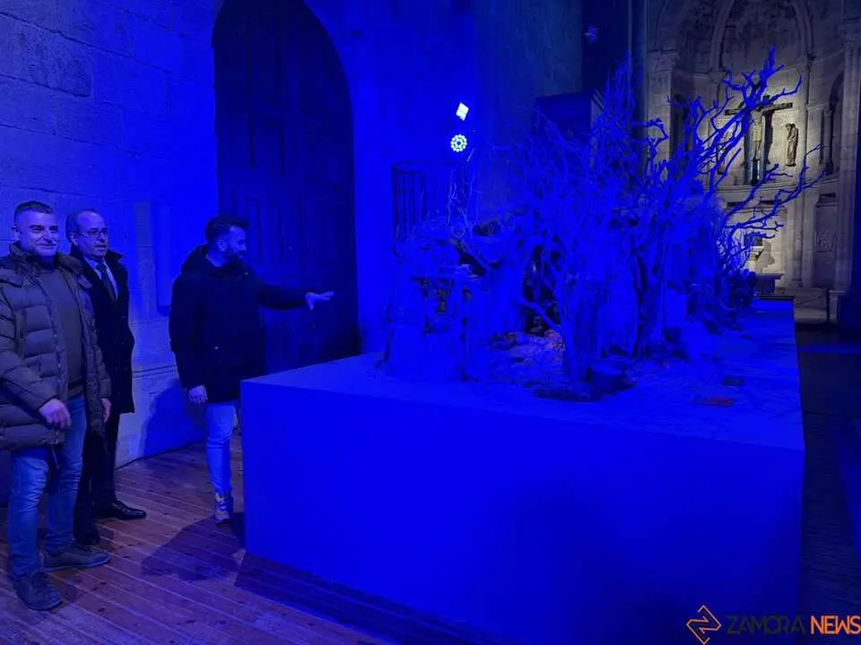 Belén Municipal Zamora _13