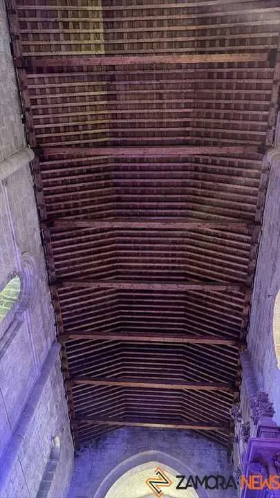 Belén Municipal Zamora _15