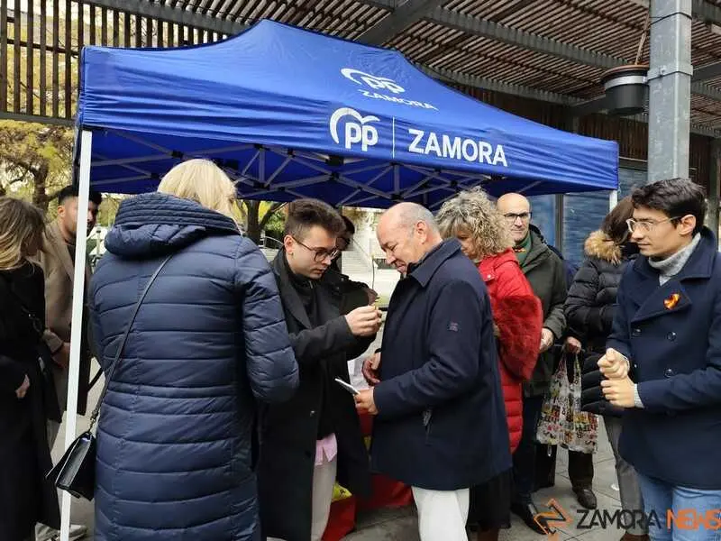 Nuevas Generaciones del Partido Popular de Zamora celebra el Día de la Constitución _10