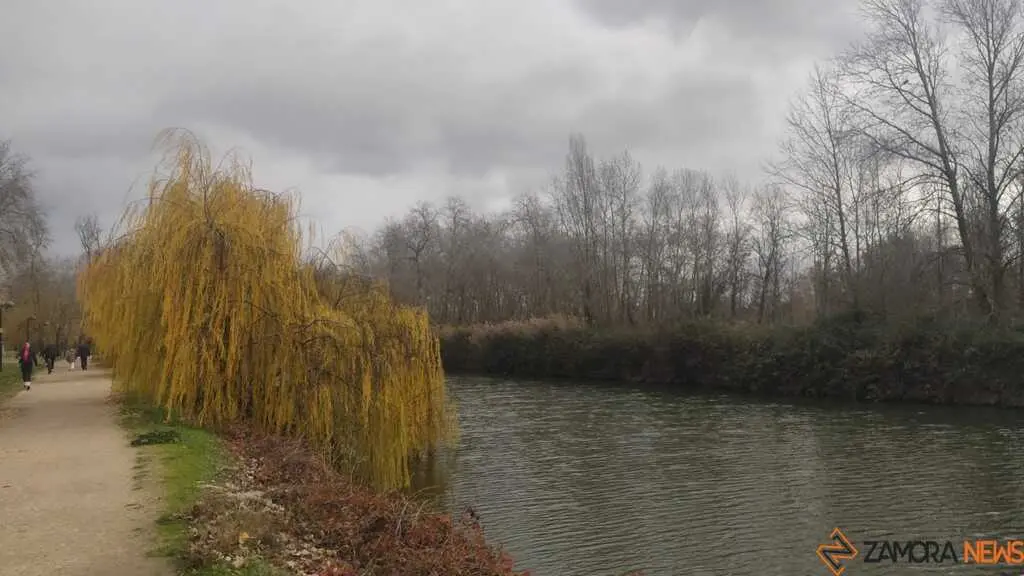 d&iacute;a de fr&iacute;o en Zamora 