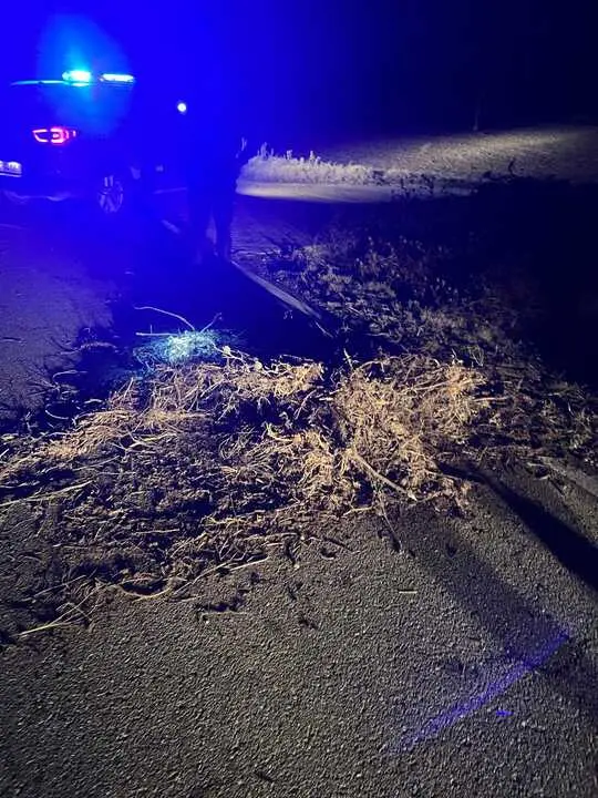 acumulado de tierra y hierba en la calzada