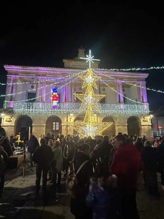 Iluminación Navideña Toro