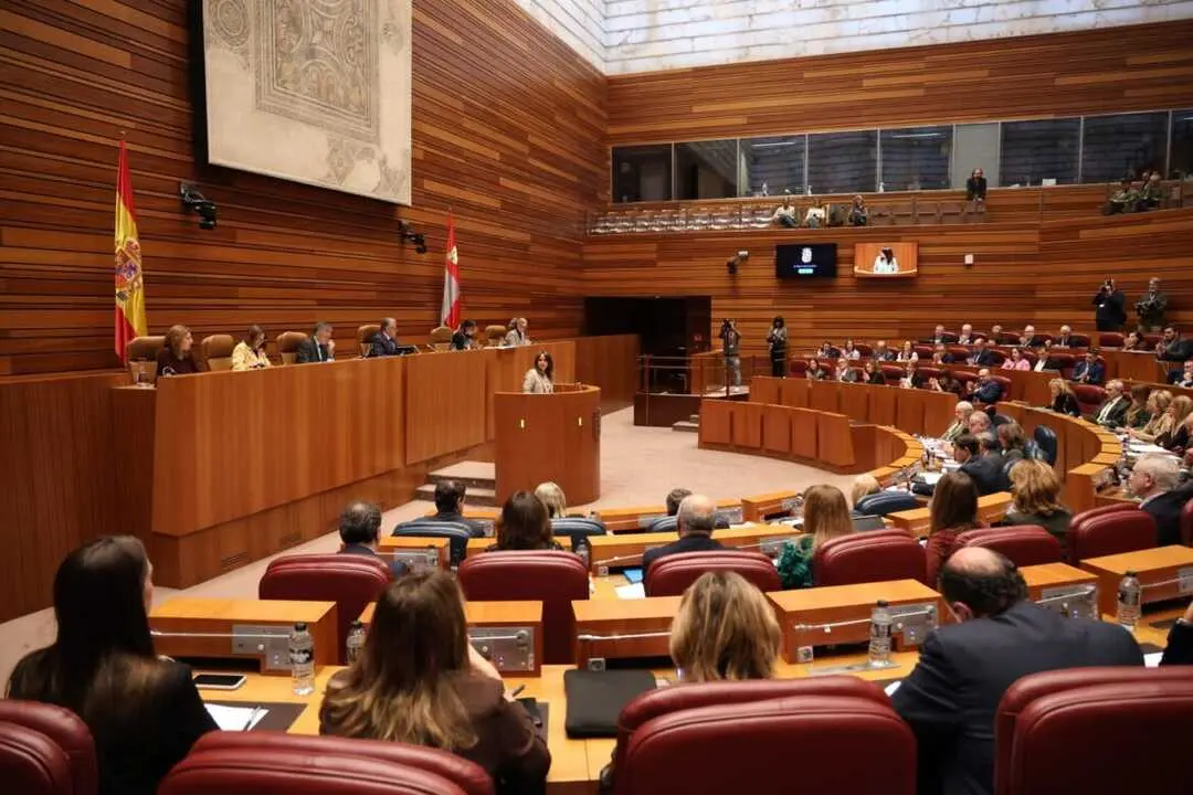 Patricia Gómez en las Cortes