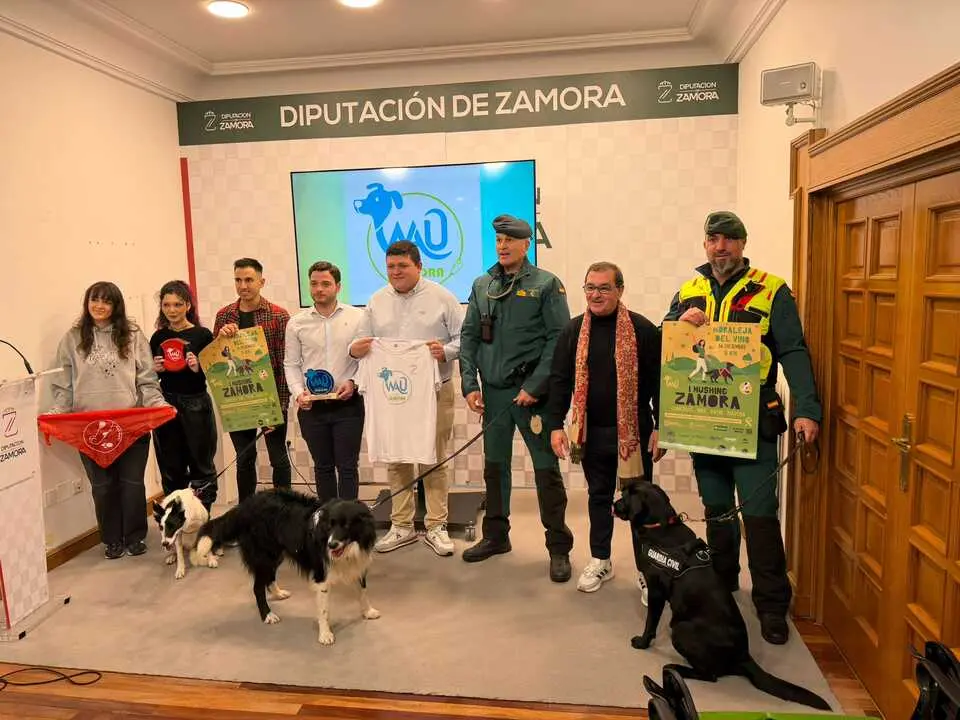 ae39c5f5-4ecd-4772-bd8b-1ac60d9285da