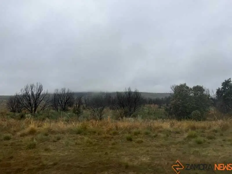 d&iacute;a de lluvia en la Sierra de la Culebra 