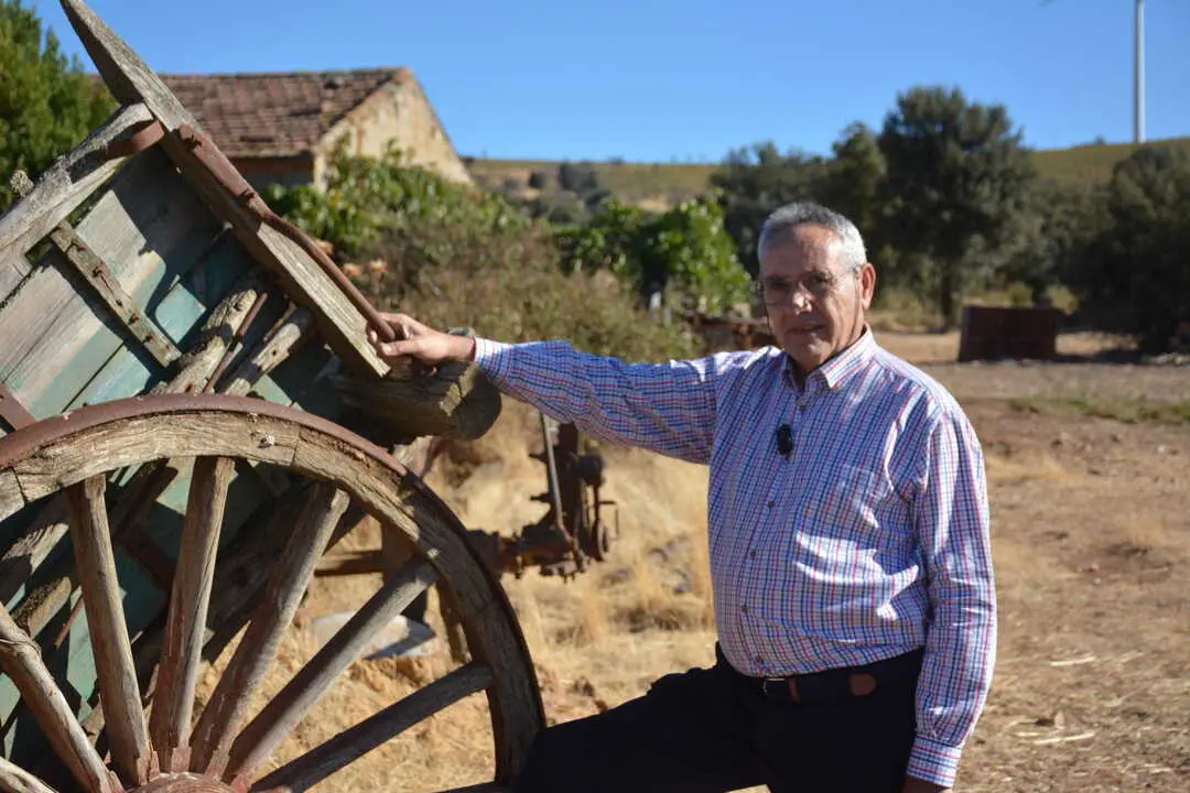 Cochinillos la salvación