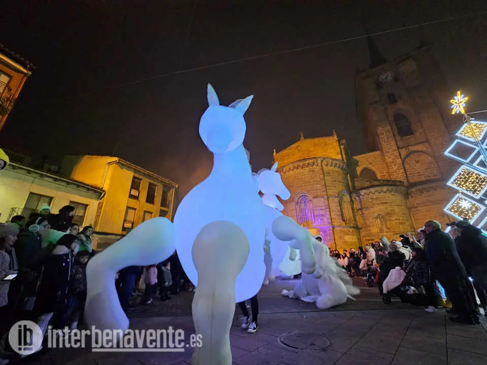 Caballos blancos de A&eacute;reon - imagen Interbenavente