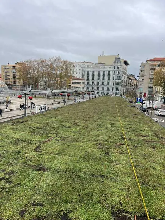 Jard&iacute;n Vertical Plaza de La Marina (5)