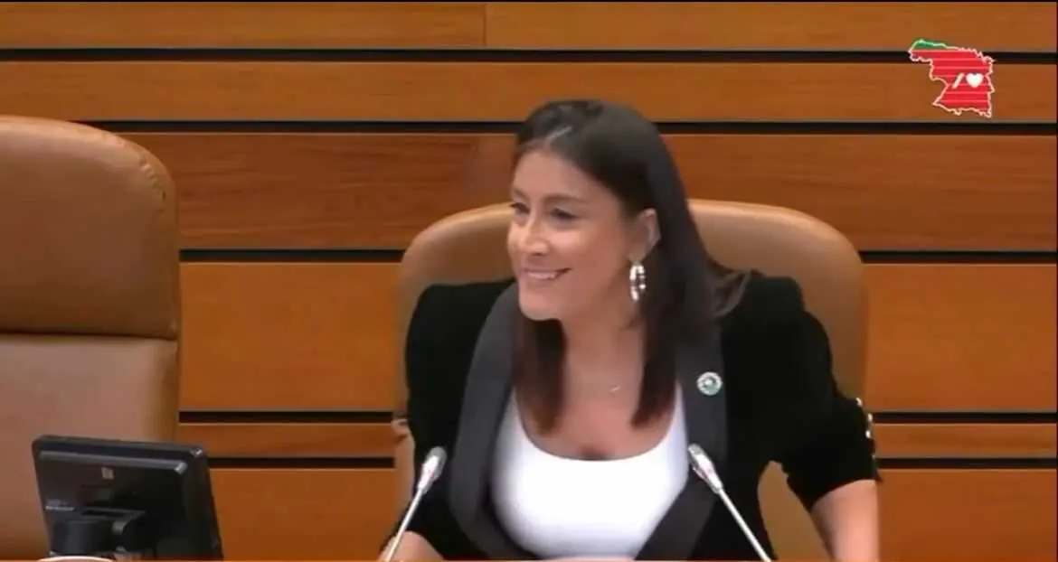 Ana S&aacute;nchez en su despedida en las Cortes