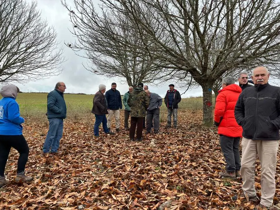 Jornadas Casta&ntilde;icultura
