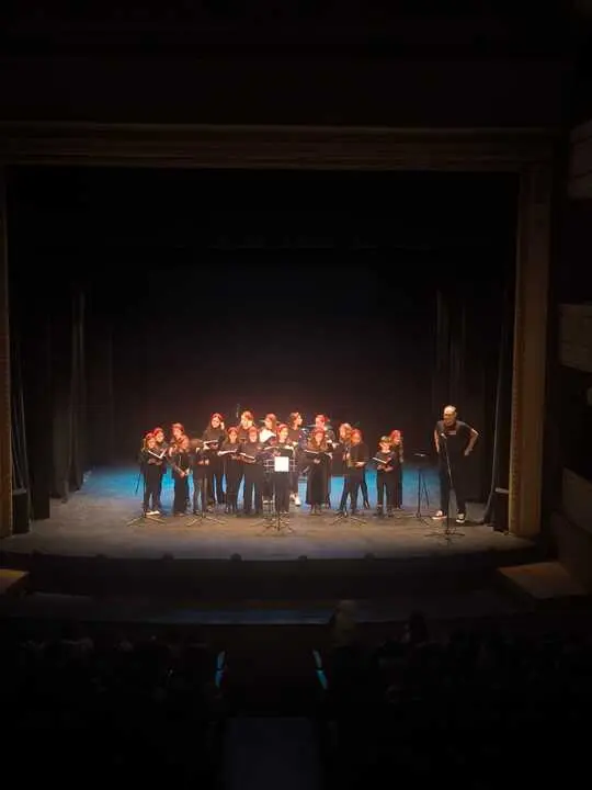 Festival Navide&ntilde;o de los Centros Educativos de Primaria de Toro - imagen redes