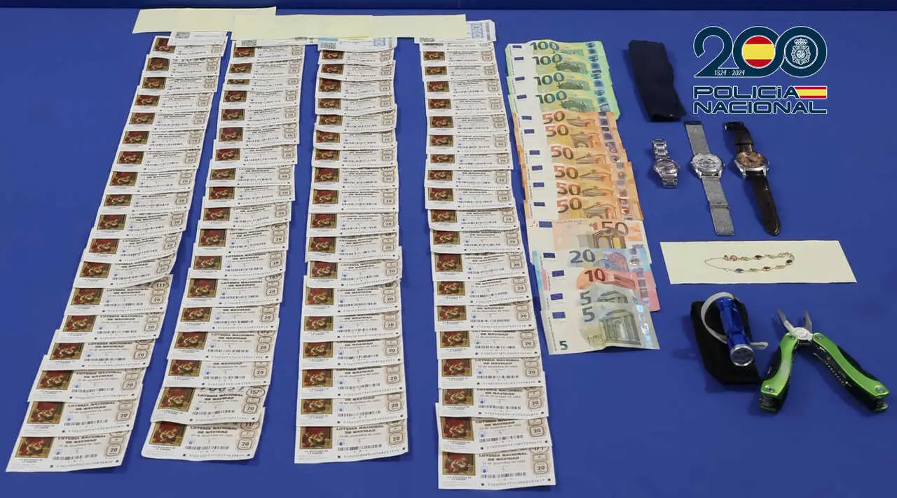 Robos en viviendas Zamora y otras ciudades - polic&iacute;a nacional