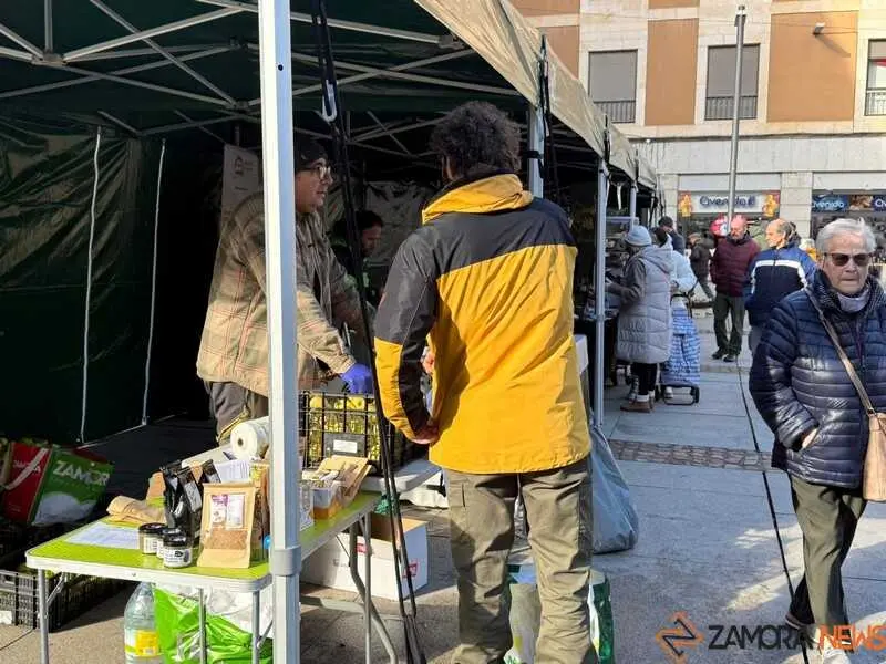 mercado de Navidad y mercado ecol&oacute;gico _3