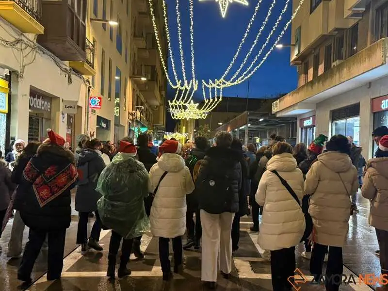  Desfile de Ramos de Navidad_17