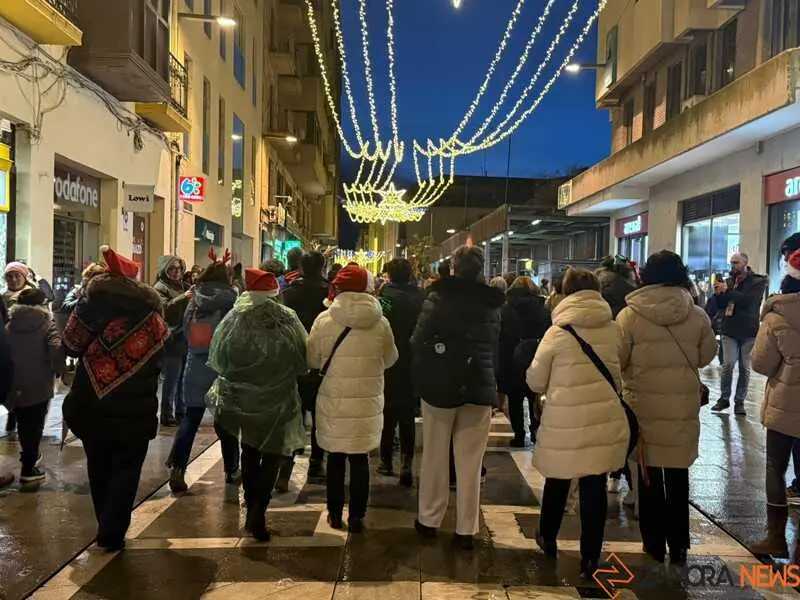  Desfile de Ramos de Navidad_18
