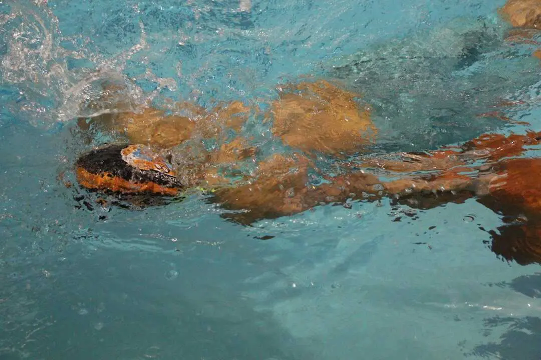 Fotograf&iacute;a FECLESS (2)