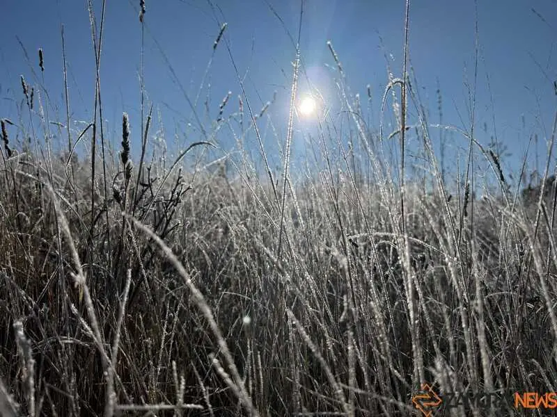d&iacute;a de sol con helada en la provincia de Zamora _4